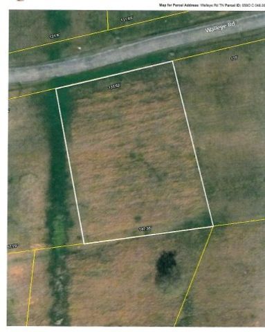 0 Walleye Drive, Hilham, TN 38568