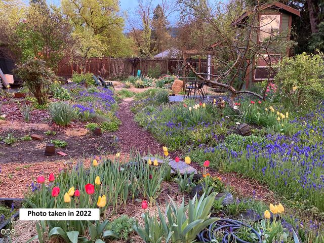 1312 Iowa Street, Ashland, OR 97520