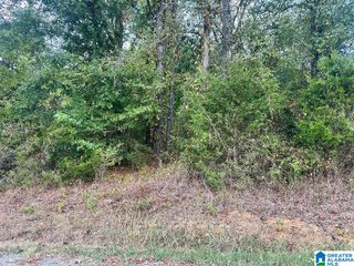 0 LIBERTY ROAD, Blountsville, AL 35121