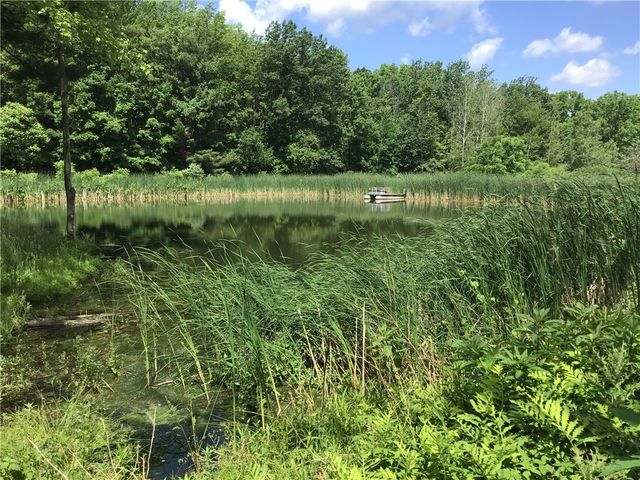 10695 Sandy Hill Road, Dansville, NY 14437