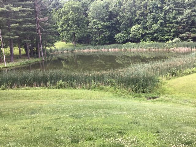 10695 Sandy Hill Road, Dansville, NY 14437