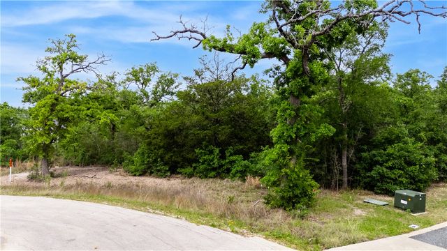 19387 Moonlit Hollow Loop, College Station, TX 77845
