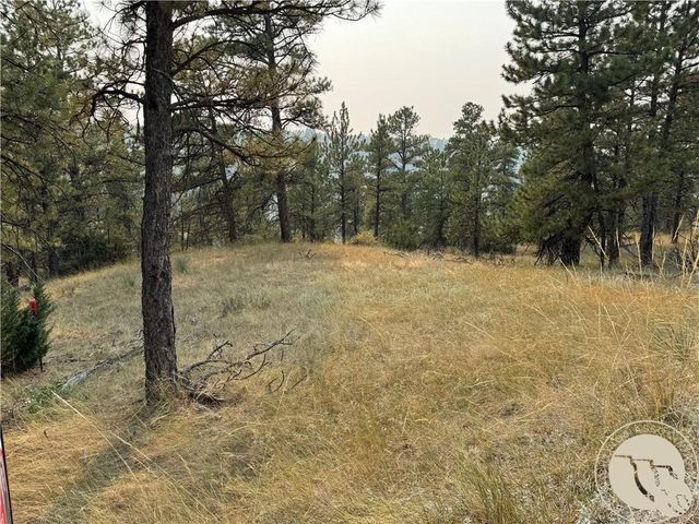 TBD Antelope Drive, Columbus, MT 59019