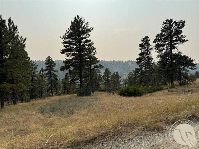 TBD Antelope Drive, Columbus, MT 59019