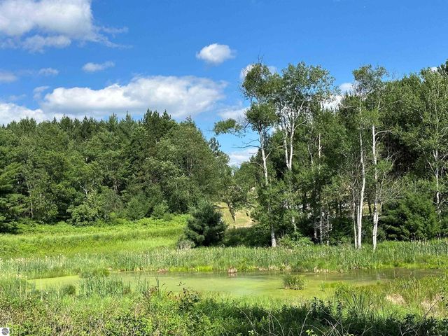 3383 NW Dockery Road, Williamsburg, MI 49690