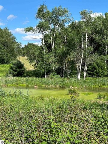 3383 NW Dockery Road, Williamsburg, MI 49690