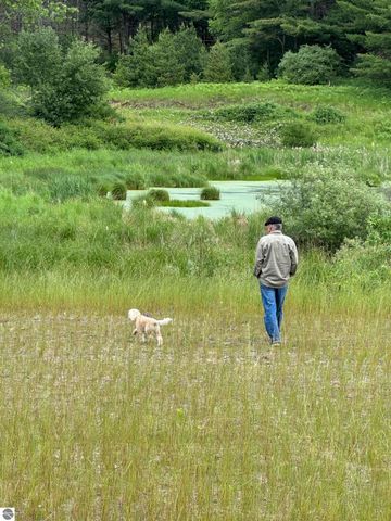 3383 NW Dockery Road, Williamsburg, MI 49690