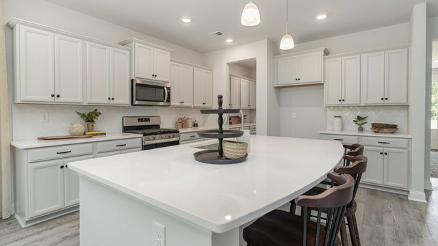 912 Hibernation Way, Conway, SC 29526