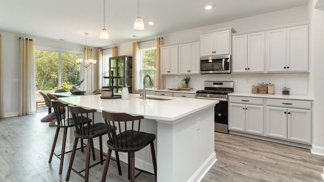 912 Hibernation Way, Conway, SC 29526