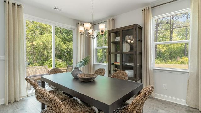 912 Hibernation Way, Conway, SC 29526