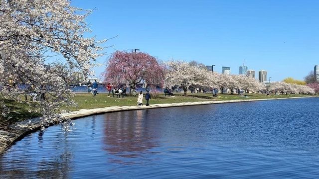 26 Waverly St 410, Boston, MA 02135