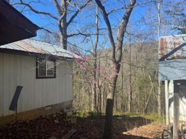 2724 NC 6370, Mount Judea, AR 72655
