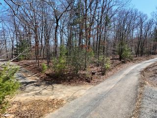 Lot 3 Robert Miller Lane, Mineral Bluff, GA 30559