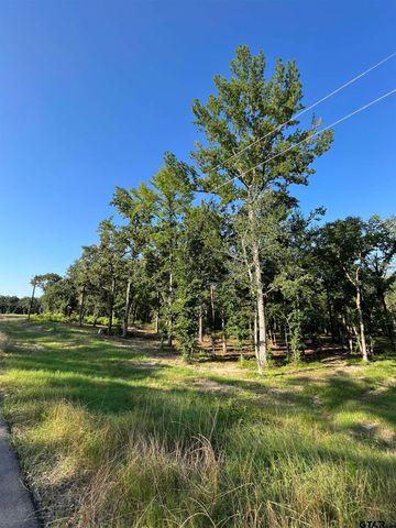 3226 Shadow Pine Dr, Larue, TX 75770