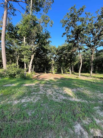 3226 Shadow Pine Dr, Larue, TX 75770