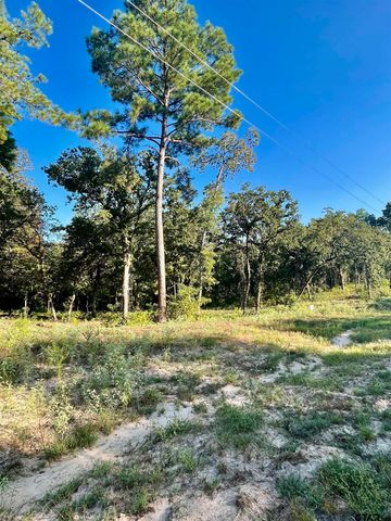 3226 Shadow Pine Dr, Larue, TX 75770