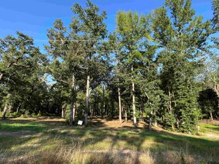 3226 Shadow Pine Dr, Larue, TX 75770