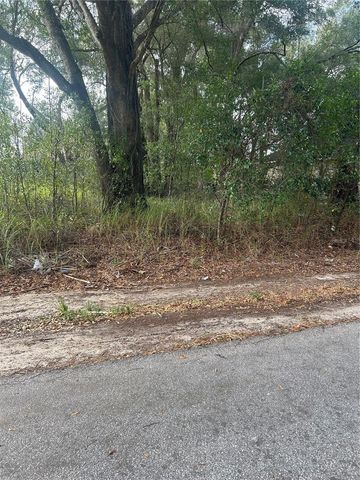TBD DOGWOOD TRAIL PLACE, Ocala, FL 34472