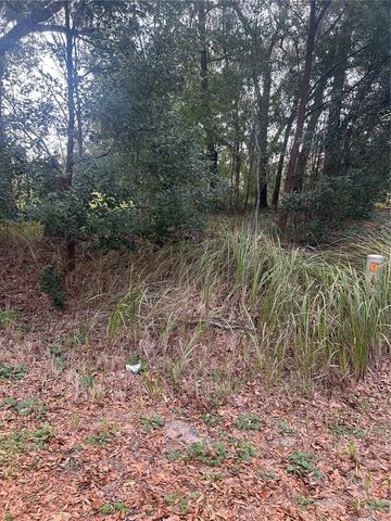 TBD DOGWOOD TRAIL PLACE, Ocala, FL 34472