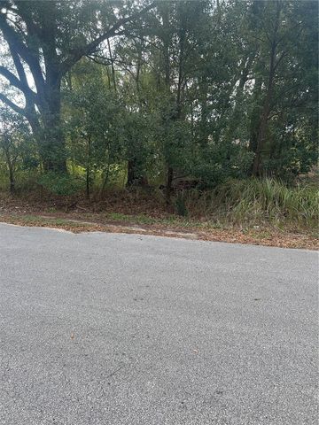 TBD DOGWOOD TRAIL PLACE, Ocala, FL 34472