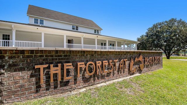 351 Black Bean Way, Longs, SC 29568