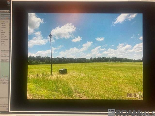 LOT 12 Lower C C Rd, Clinton, LA 70722
