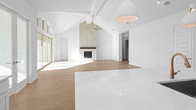 1227 Basset Hound Drive, Montgomery, TX 77316