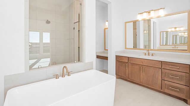 1227 Basset Hound Drive, Montgomery, TX 77316