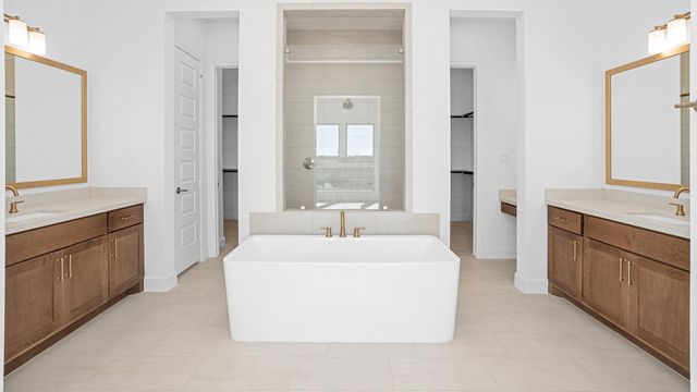 1227 Basset Hound Drive, Montgomery, TX 77316