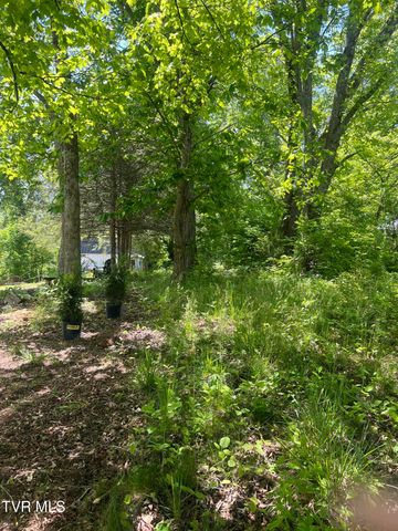 00 East Main Street, Jonesborough, TN 37659