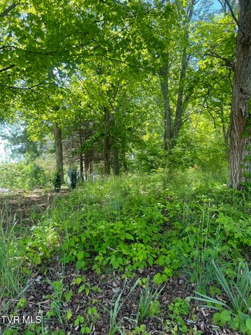 00 East Main Street, Jonesborough, TN 37659