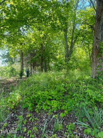 00 East Main Street, Jonesborough, TN 37659
