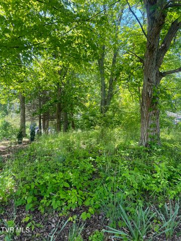 00 East Main Street, Jonesborough, TN 37659