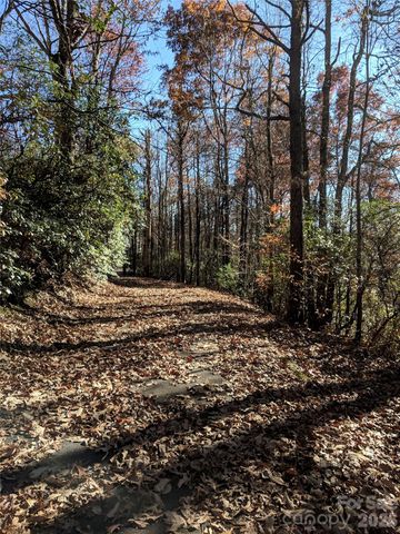 157 Toxaway Views Drive 802, Lake Toxaway, NC 28747