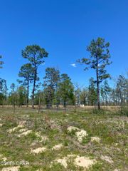 12601 E Highway 20, Fountain, FL 32438