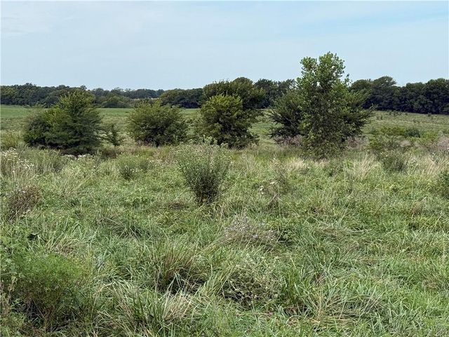 S Grant Road, Creighton, MO 64739