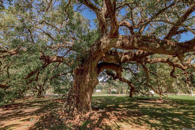 38327 Cornerview Rd, Gonzales, LA 70737