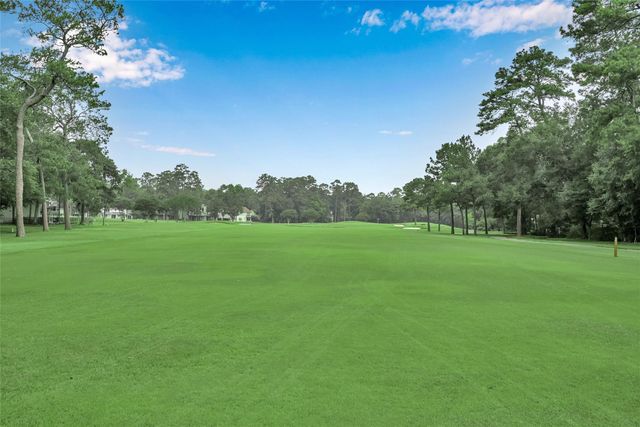 2 Alladdin Lane, The Woodlands, TX 77380