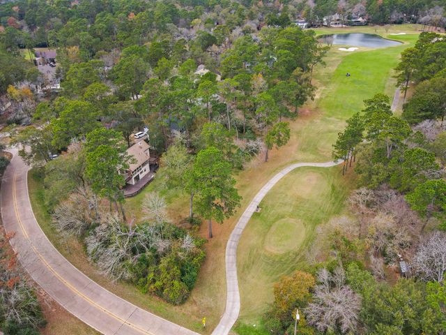 2 Alladdin Lane, The Woodlands, TX 77380