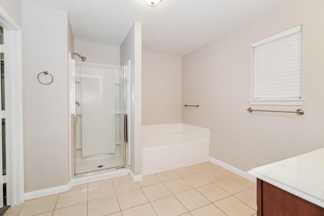 17203 Osprey Landing Drive, Hockley, TX 77447