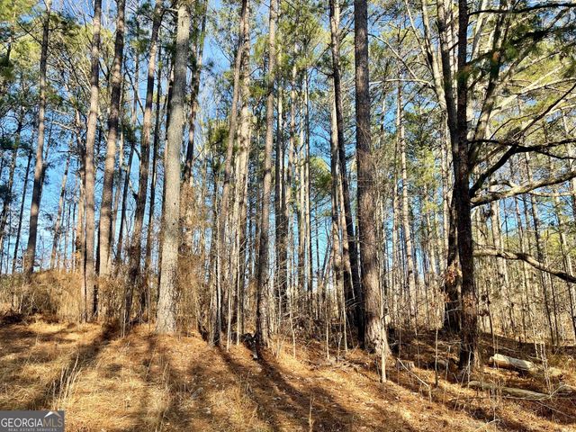 0 Padgett Road LOT 6, Senoia, GA 30276