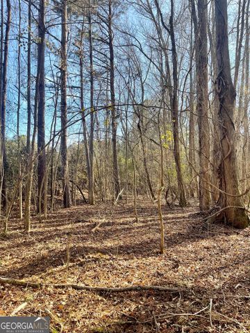 0 Padgett Road LOT 6, Senoia, GA 30276