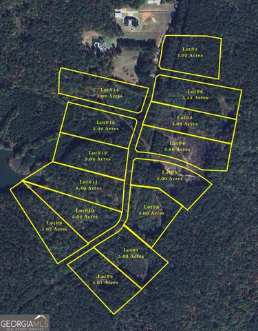 0 Padgett Road LOT 6, Senoia, GA 30276