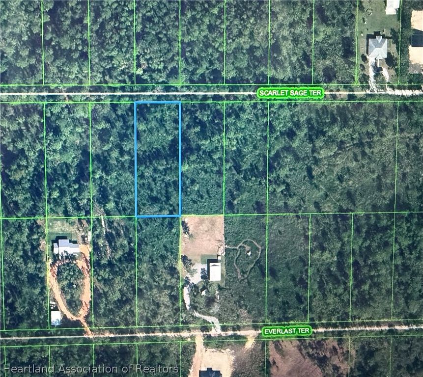 1953 Scarlet Sage Terrace, Sebring, FL 33875