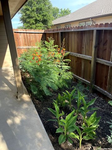 8311 White Mulberry, San Antonio, TX 78254