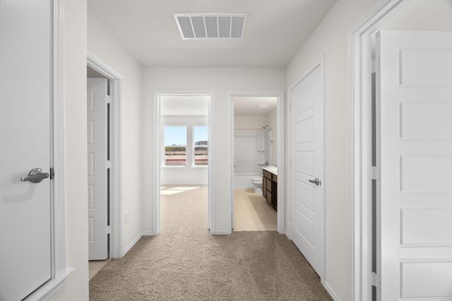 12106 Salvador ST, Austin, TX 78748