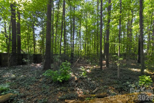 1306 Cool Mist Court, Indian Land, SC 29707