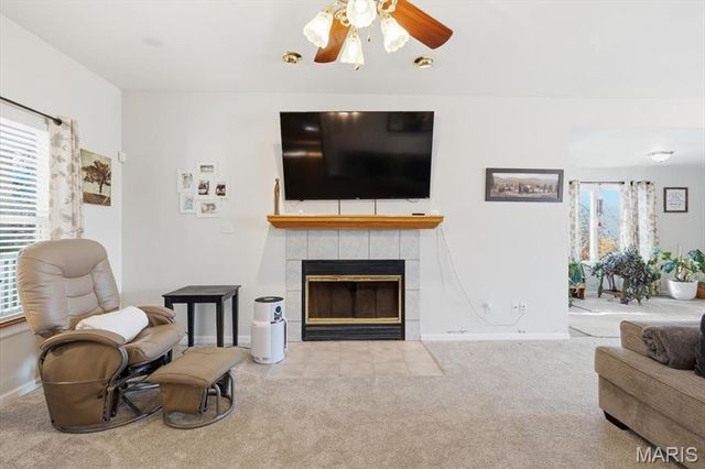 10534 Eagles Nest Drive, Hillsboro, MO 63050