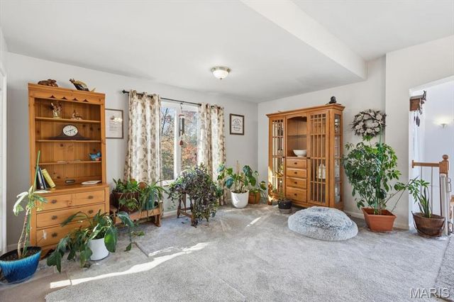 10534 Eagles Nest Drive, Hillsboro, MO 63050