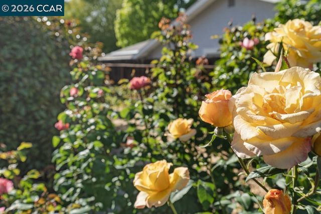 2866 Bowling Green Dr, Walnut Creek, CA 94598